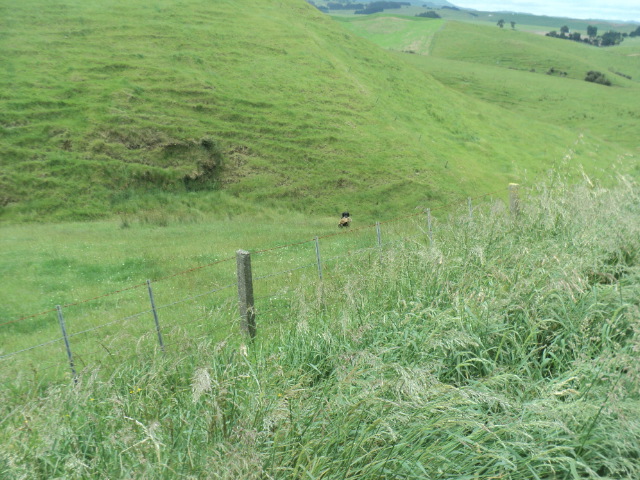 Name:  picture 01 2213.jpg
Views: 357
Size:  164.8 KB