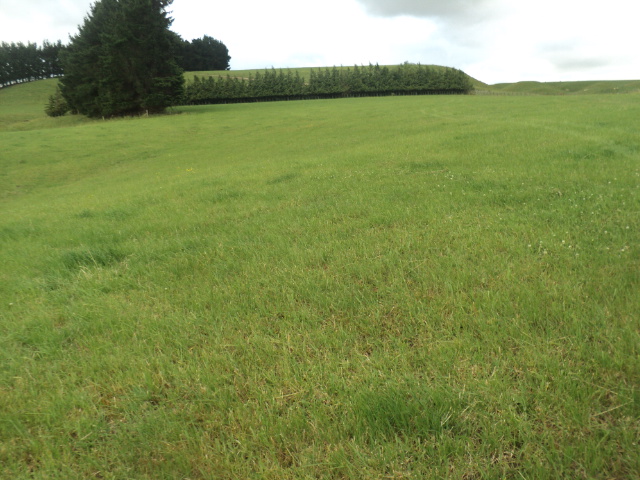 Name:  picture 01 2218.jpg
Views: 780
Size:  163.9 KB
