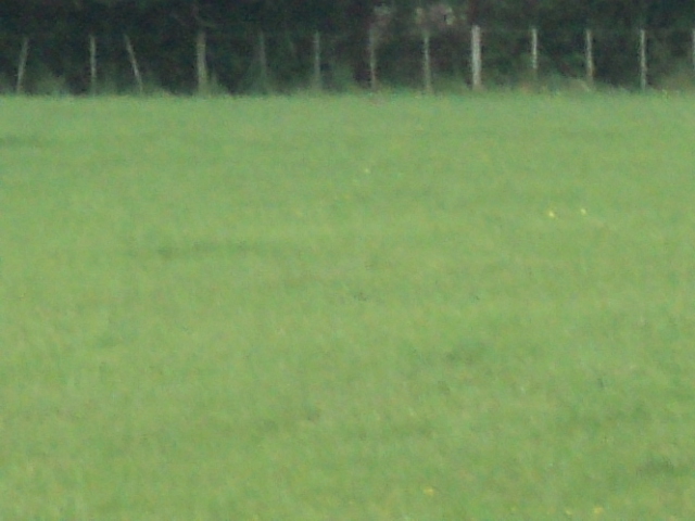 Name:  picture 01 2219.jpg
Views: 722
Size:  155.7 KB