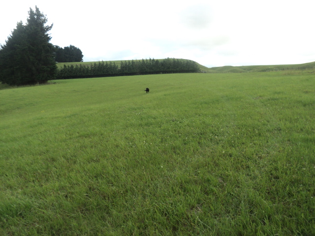 Name:  picture 01 2222.jpg
Views: 668
Size:  164.7 KB