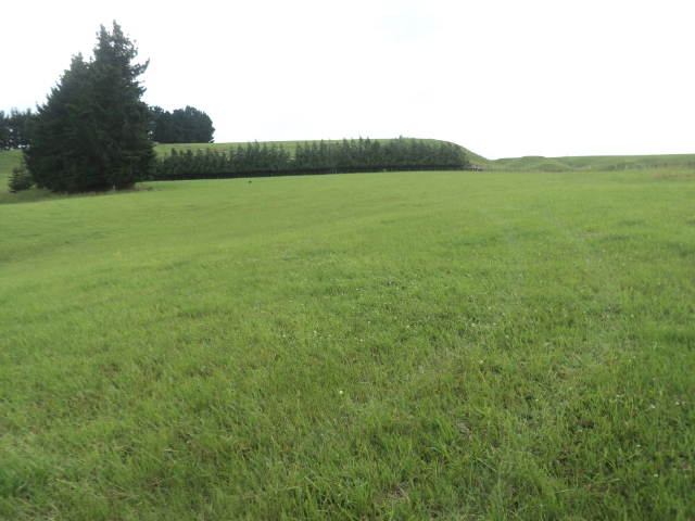 Name:  picture 01 2223.jpg
Views: 685
Size:  164.8 KB