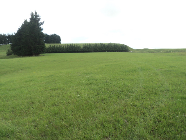 Name:  picture 01 2224.jpg
Views: 641
Size:  165.2 KB