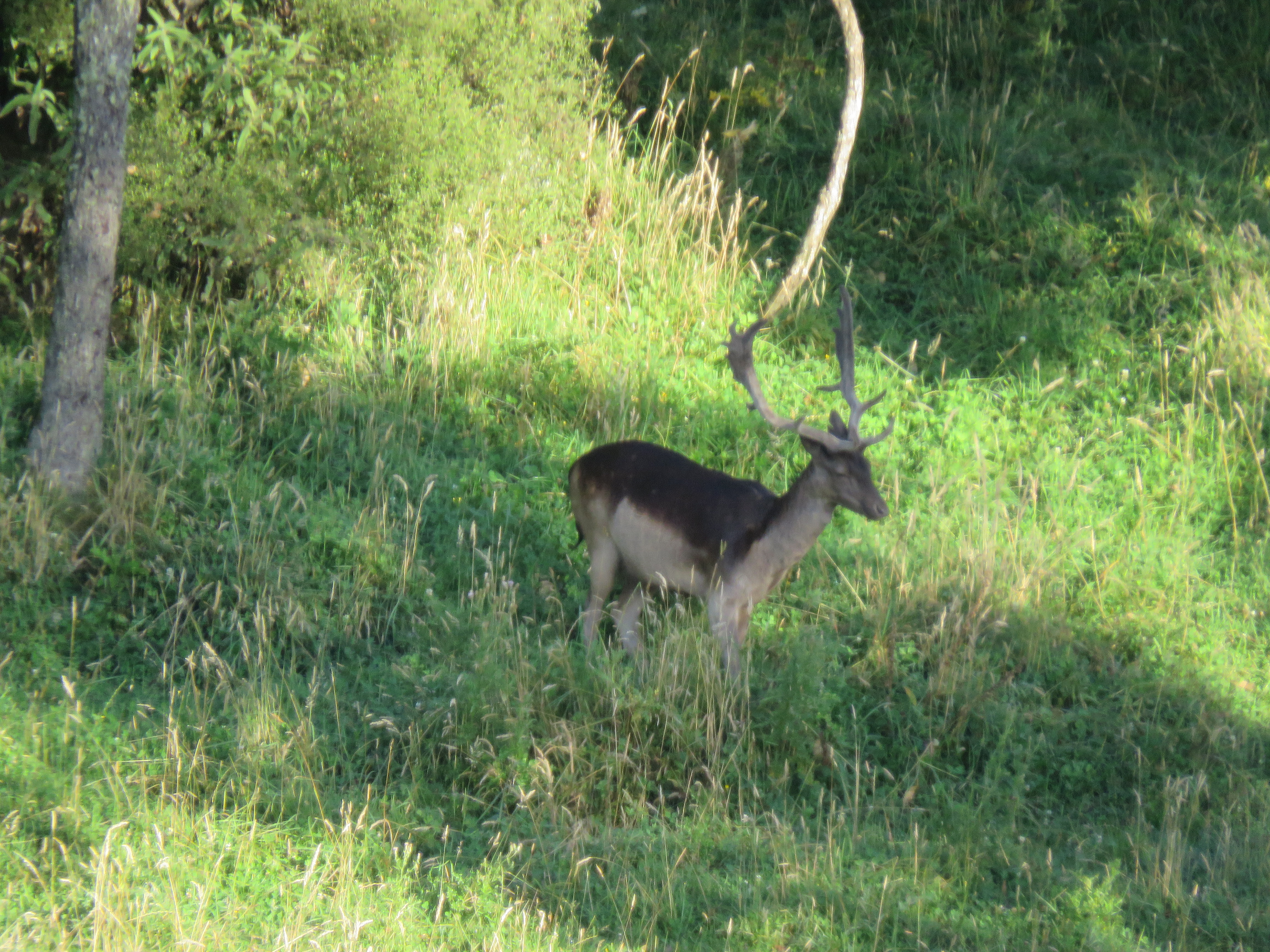 Name:  IMG_1075.JPG
Views: 810
Size:  6.75 MB