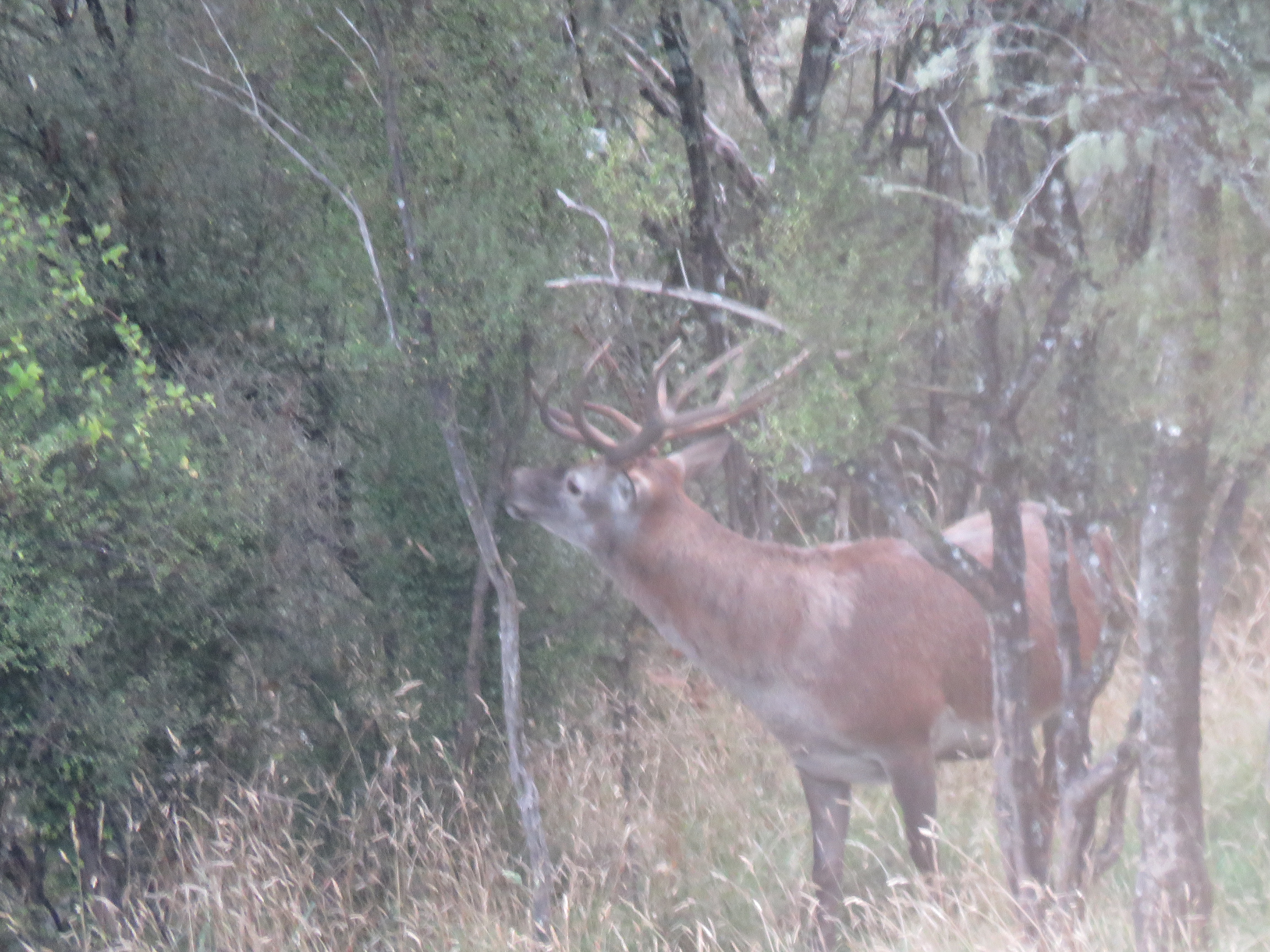 Name:  IMG_1098.JPG
Views: 950
Size:  4.73 MB