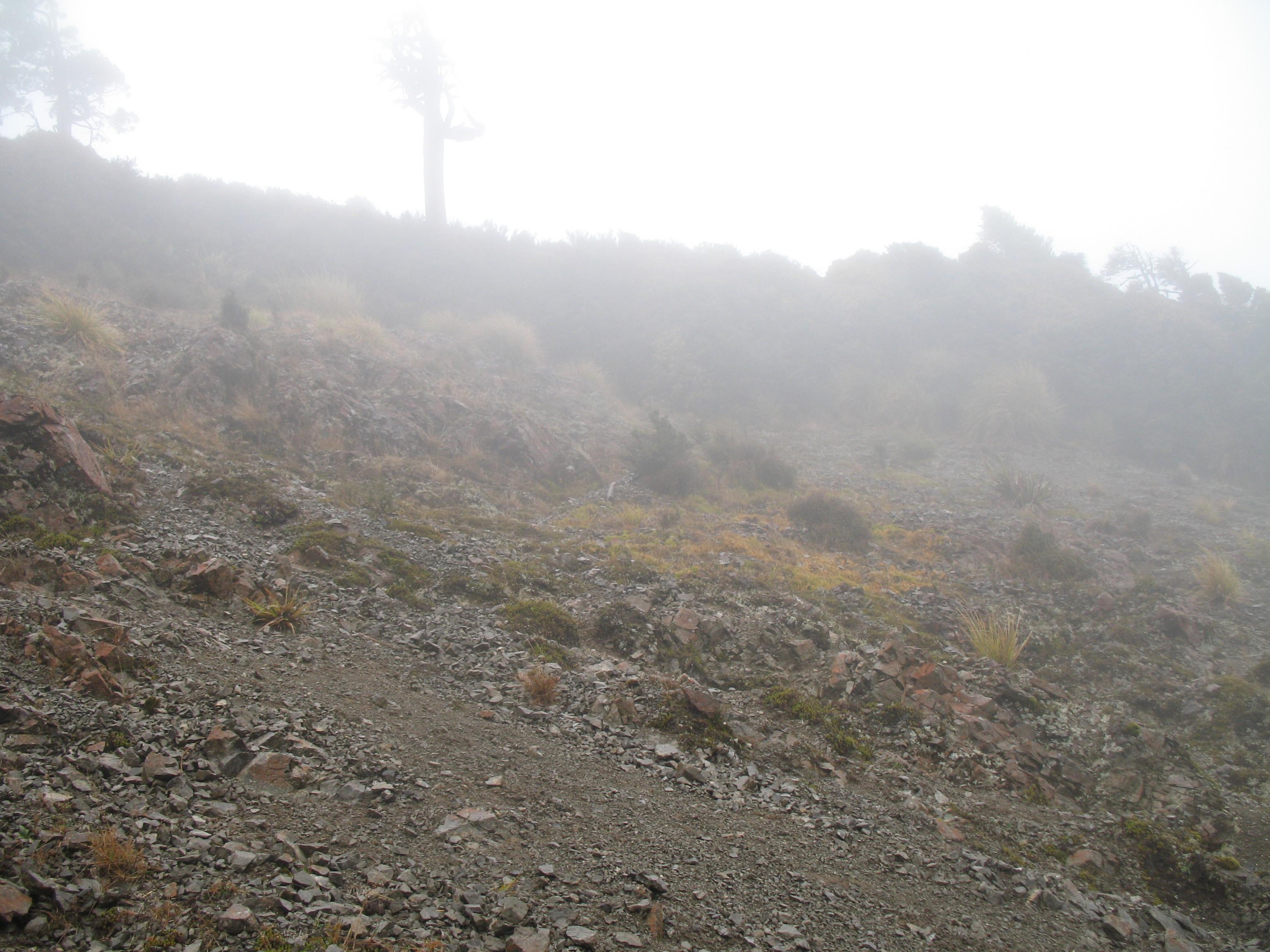 Name:  IMG_0870.jpg
Views: 439
Size:  720.2 KB
