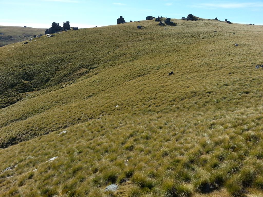 Name:  2014-03-22 11.05.21.jpg
Views: 364
Size:  178.3 KB