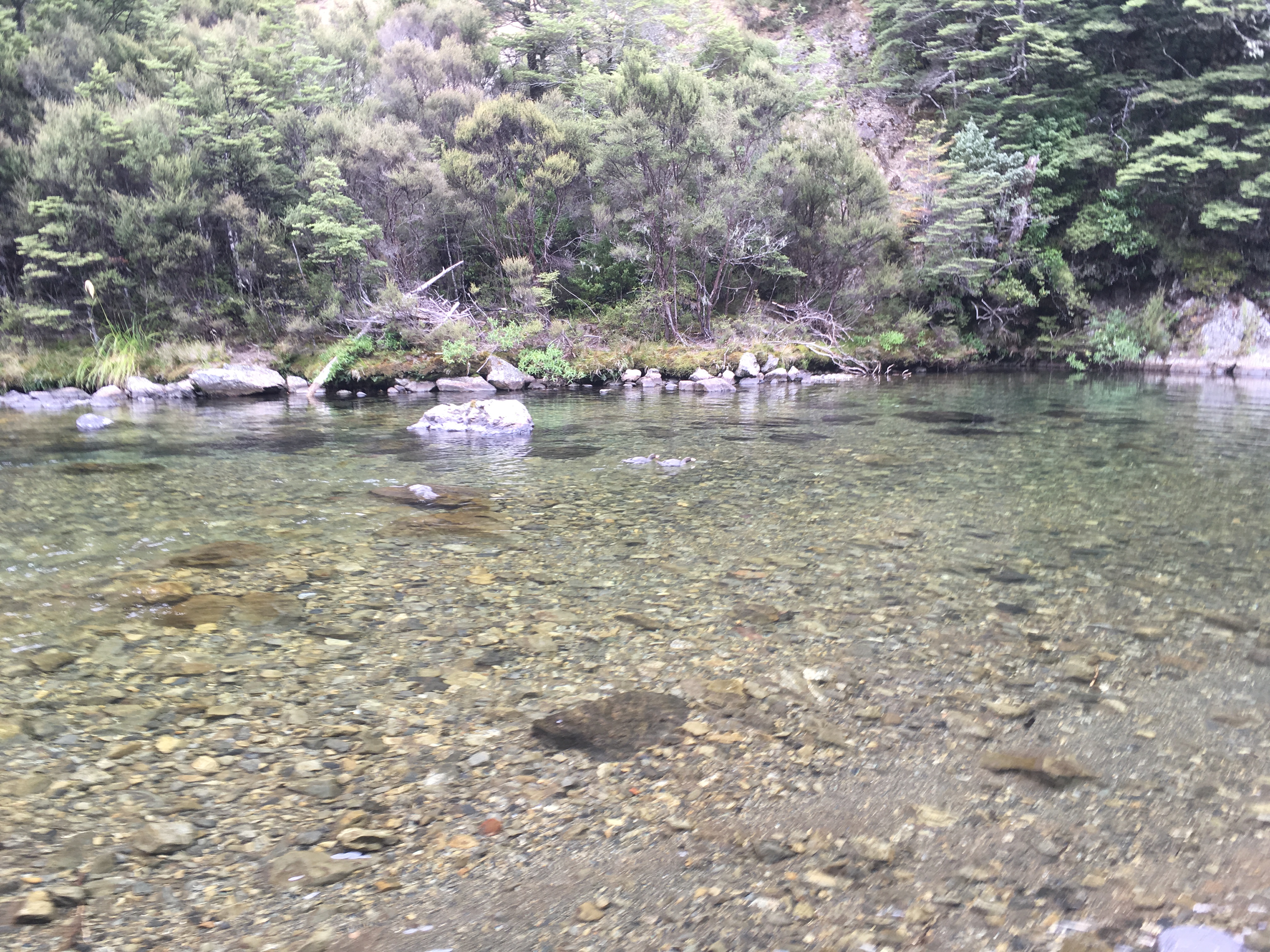 Name:  IMG_2036.JPG
Views: 549
Size:  3.94 MB