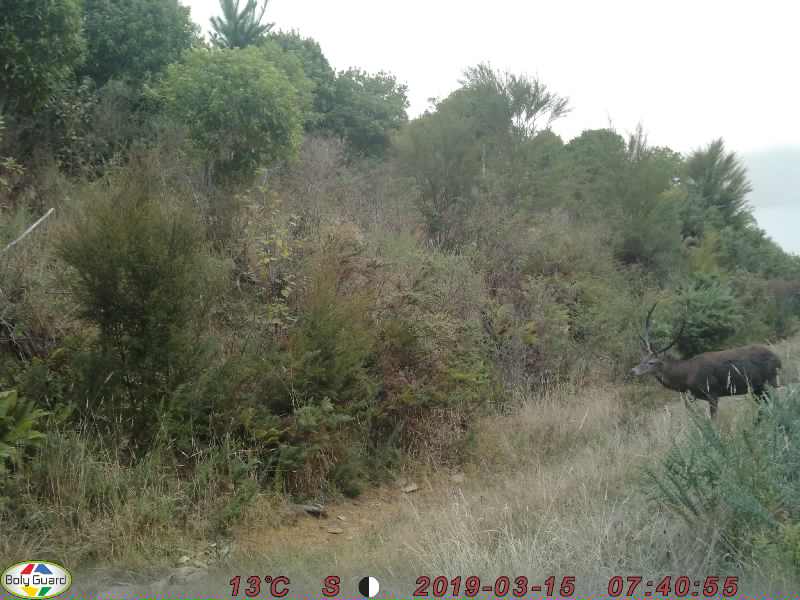 Name:  0359.JPG
Views: 447
Size:  51.6 KB