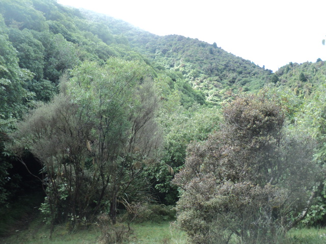 Name:  picture 01 3089.jpg
Views: 468
Size:  163.5 KB