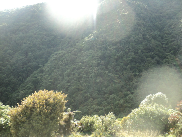 Name:  picture 01 3096.jpg
Views: 413
Size:  163.9 KB