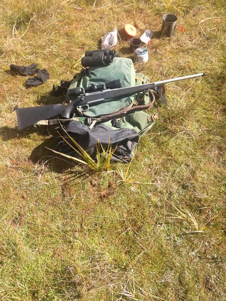 Name:  6.5 Creedmor out hunting.jpg
Views: 349
Size:  90.0 KB