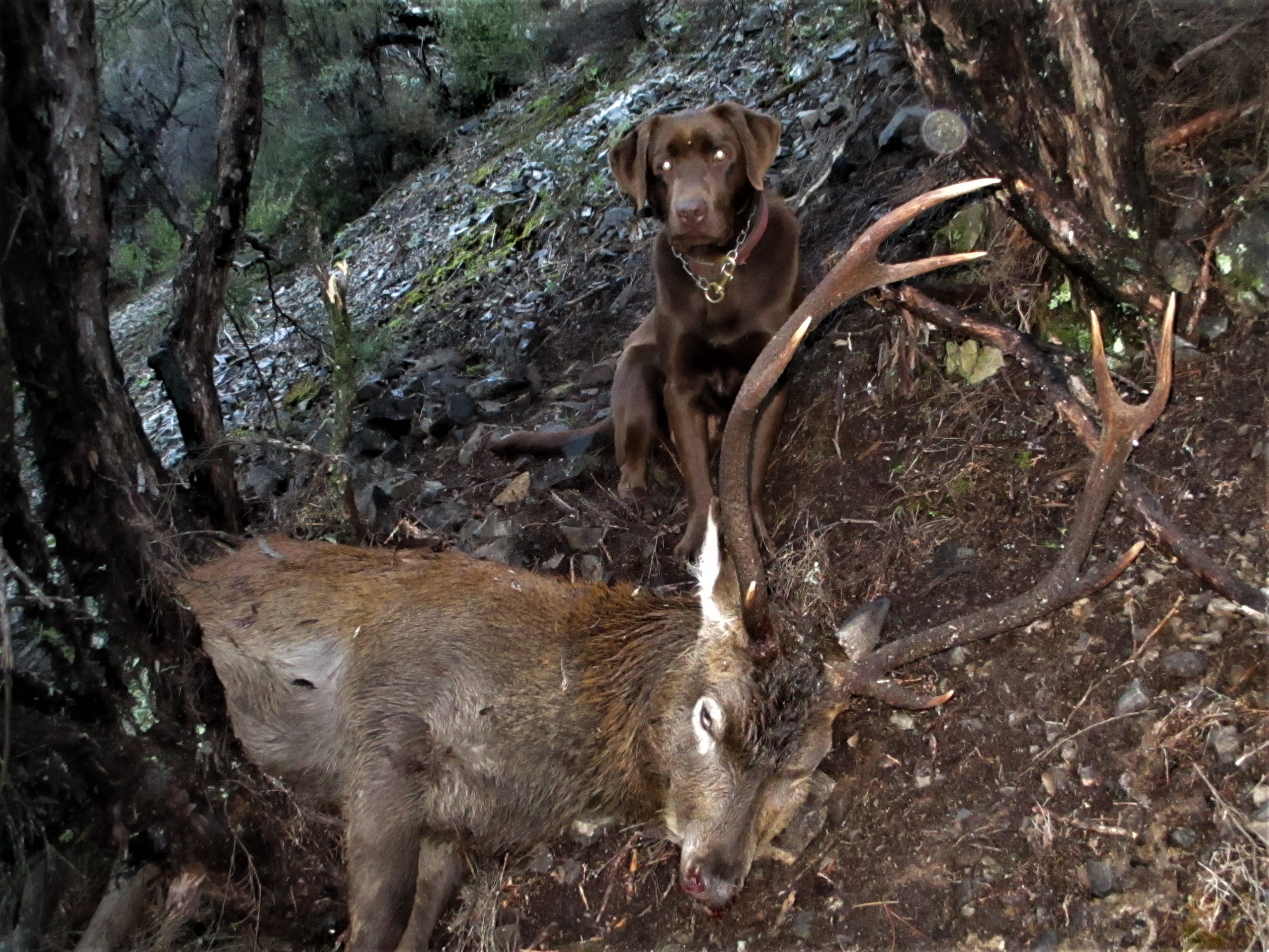 Name:  IMG_1568 (2).JPG
Views: 975
Size:  1.22 MB