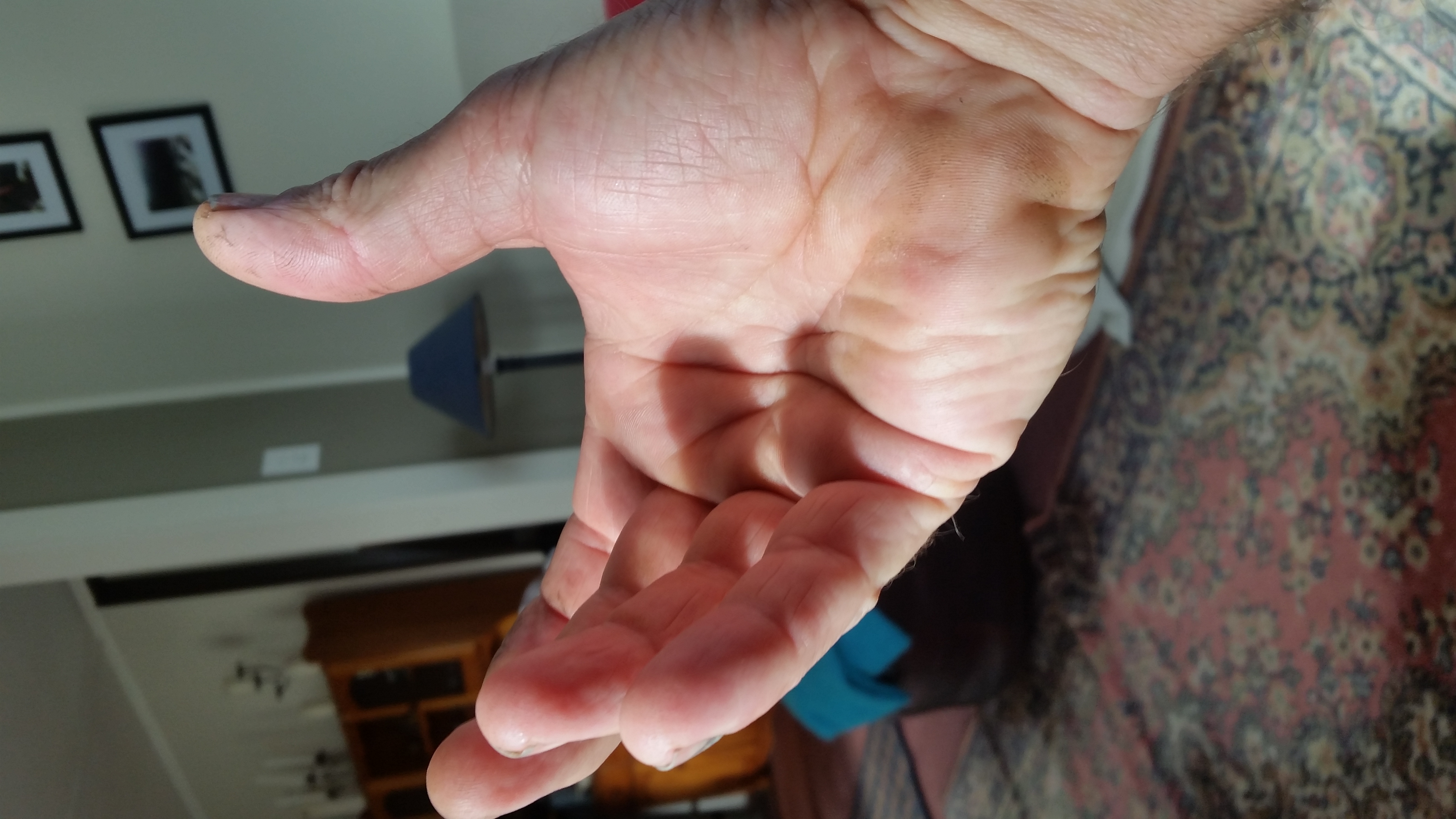 Name:  20190608_122855.jpg
Views: 608
Size:  3.27 MB