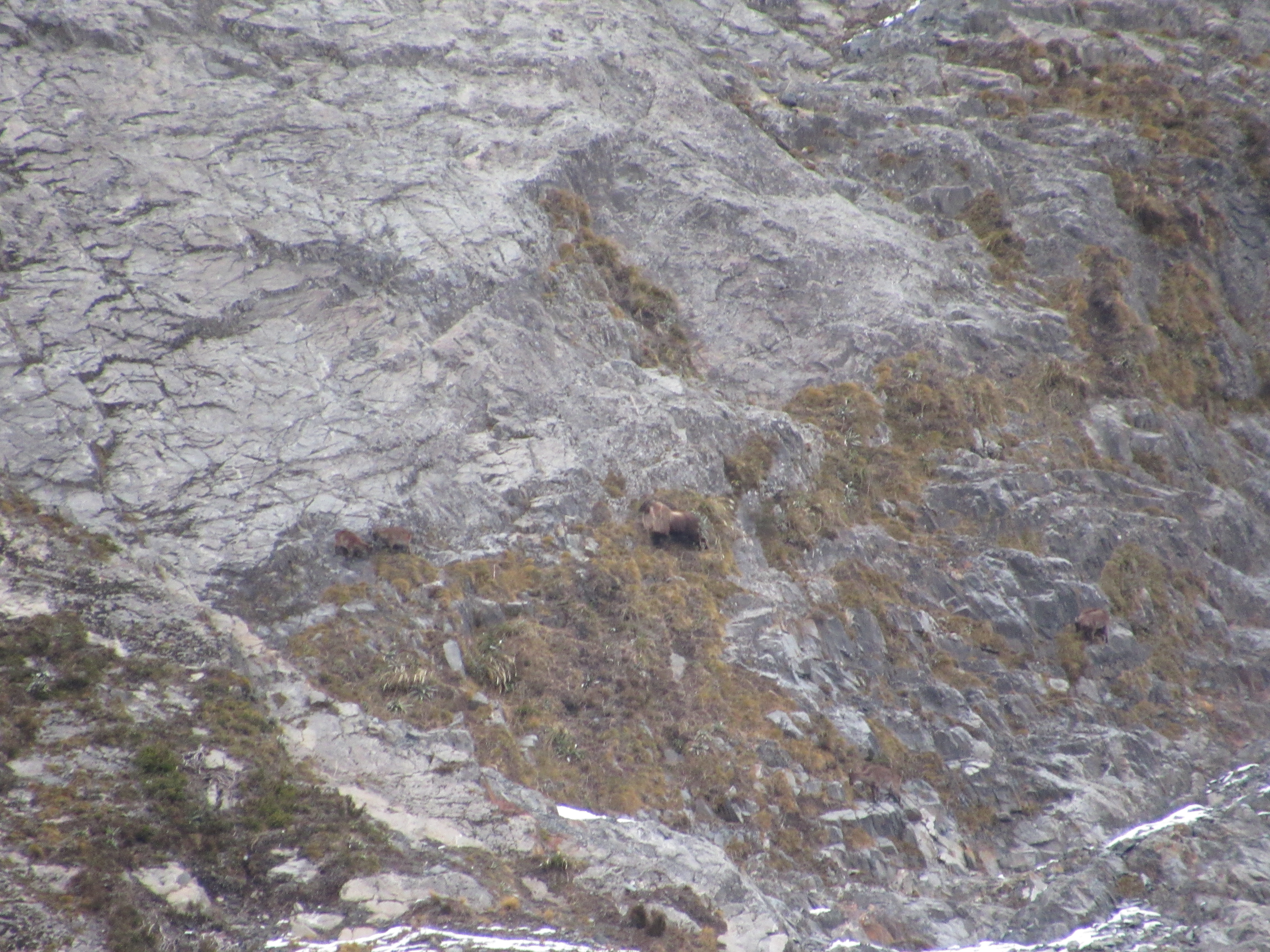 Name:  IMG_0103.JPG
Views: 716
Size:  6.73 MB