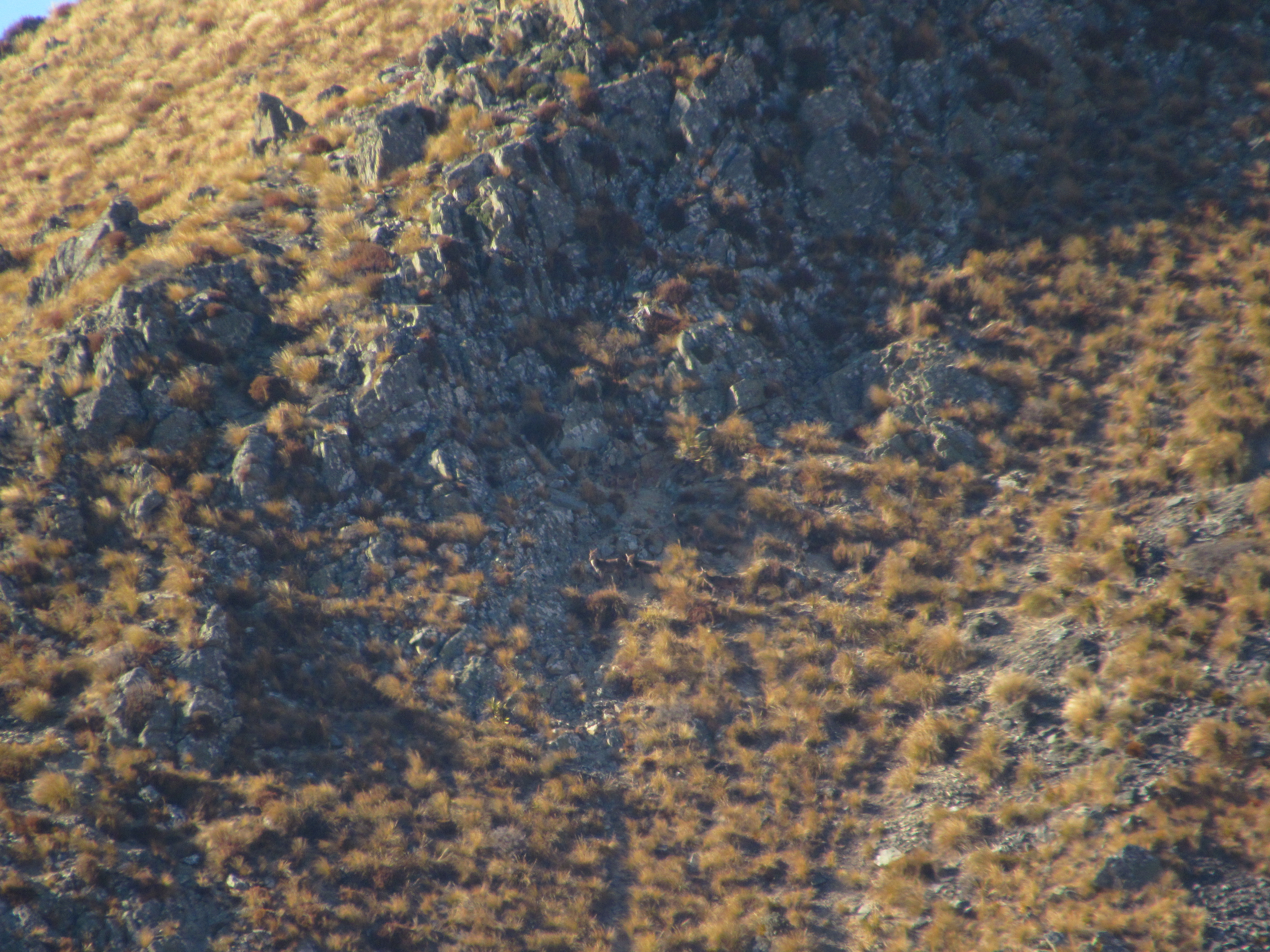 Name:  IMG_0171.JPG
Views: 687
Size:  6.09 MB