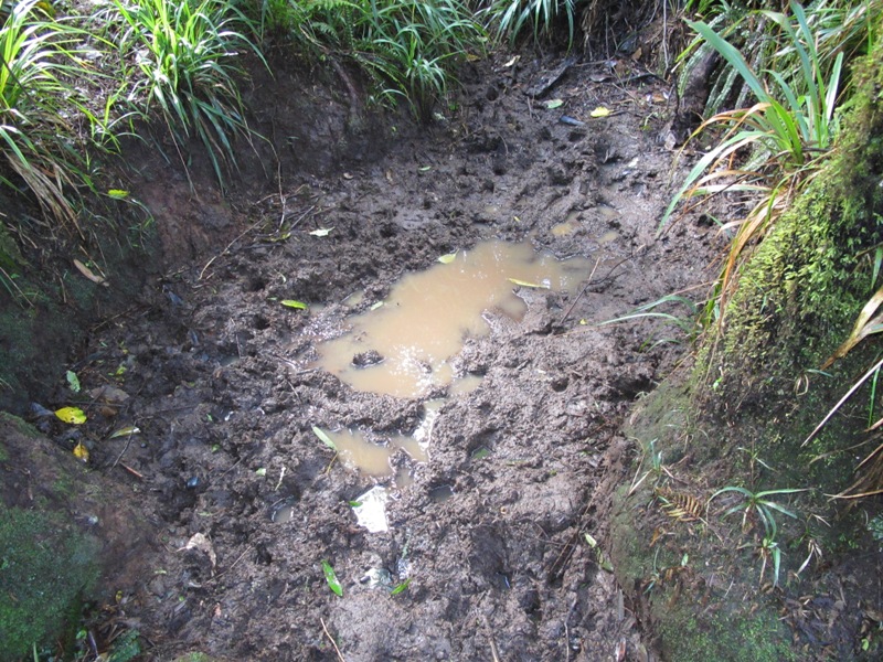 Name:  Copy of IMG_2728.jpg
Views: 1072
Size:  269.8 KB