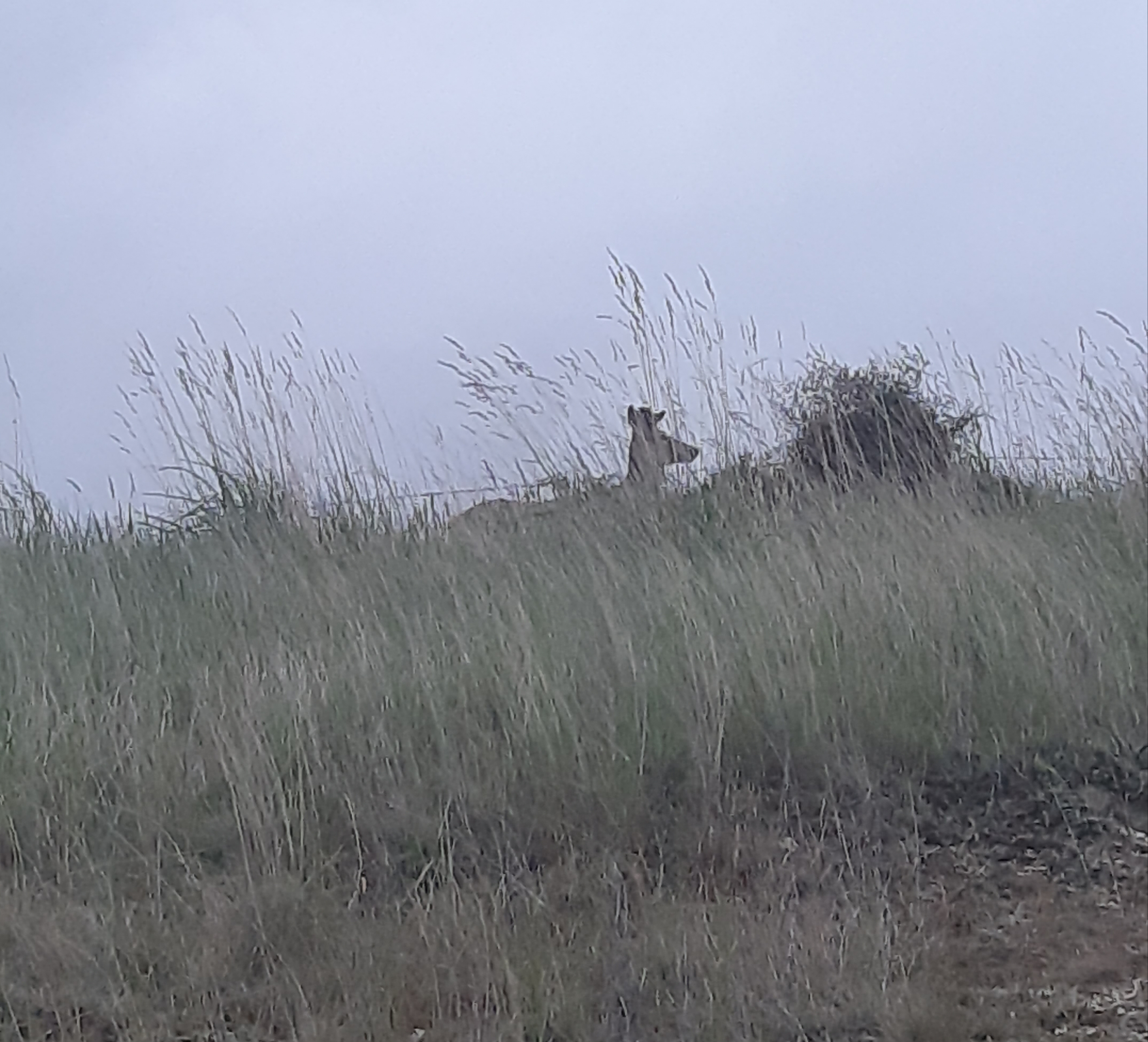 Name:  20191113_203100.jpg
Views: 649
Size:  2.53 MB