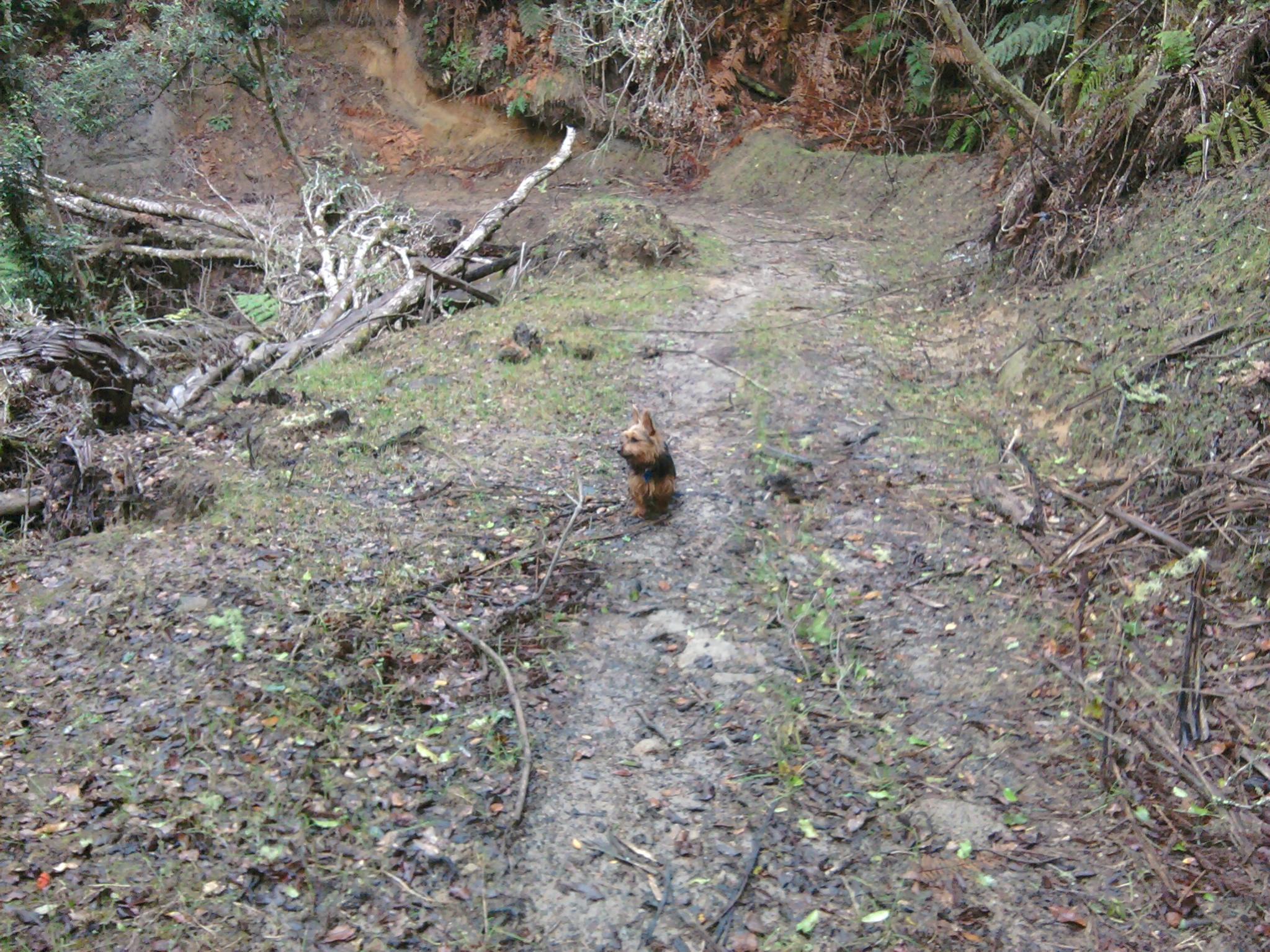 Name:  Photo001.jpg
Views: 2467
Size:  601.6 KB