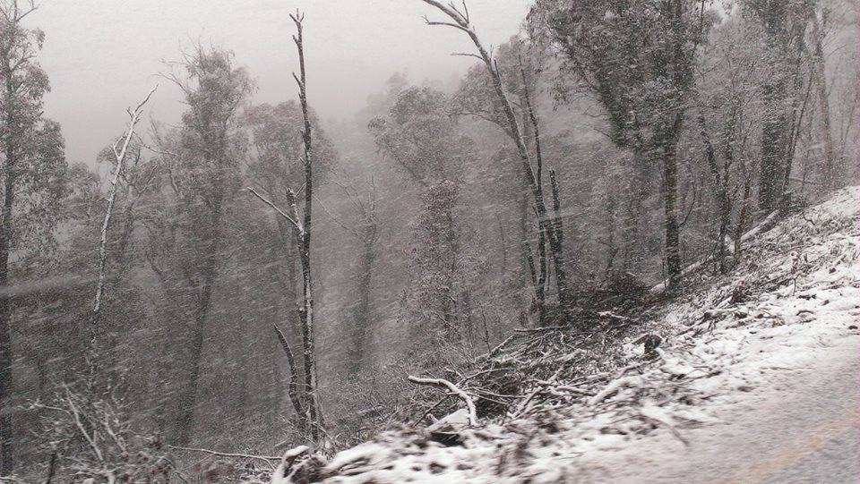 Name:  Hunting up Hotham.jpg
Views: 1459
Size:  140.6 KB