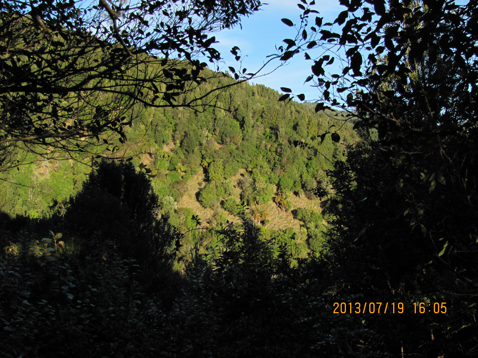 Name:  IMG_2541.JPG
Views: 1480
Size:  828.6 KB
