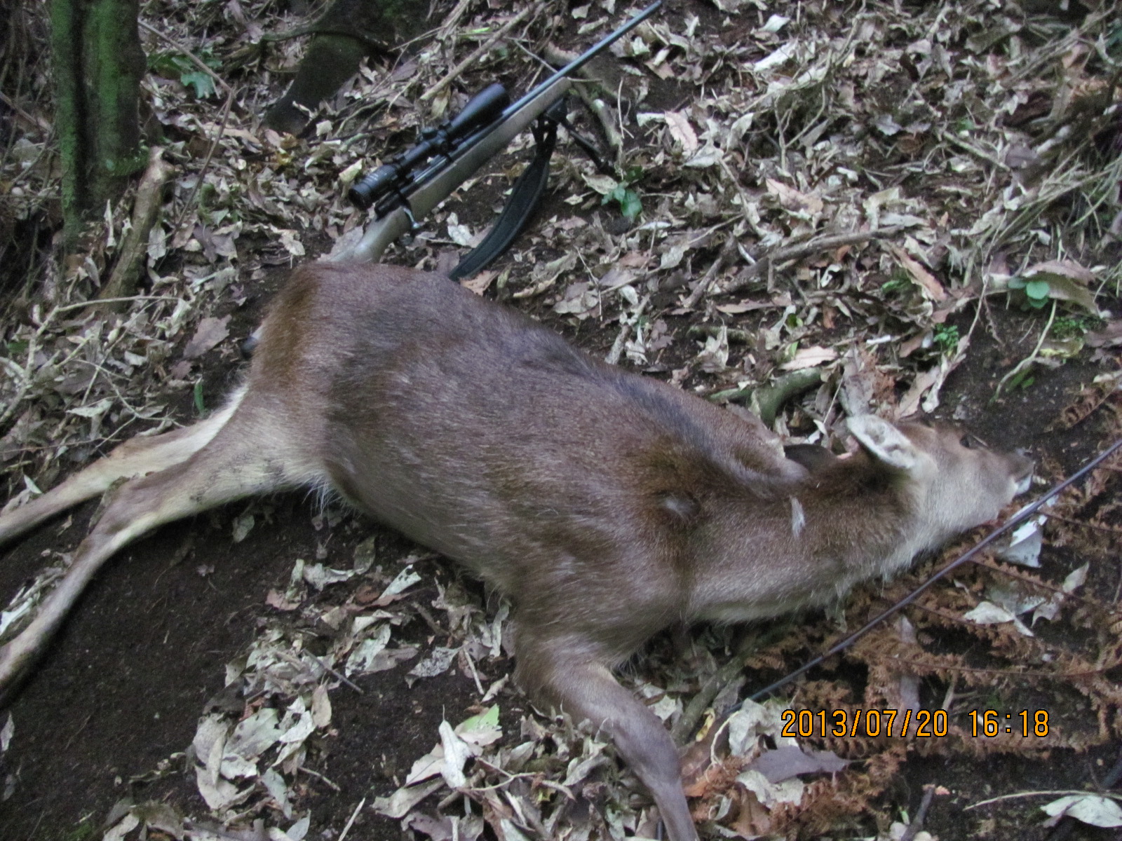 Name:  IMG_2551.JPG
Views: 1944
Size:  749.2 KB