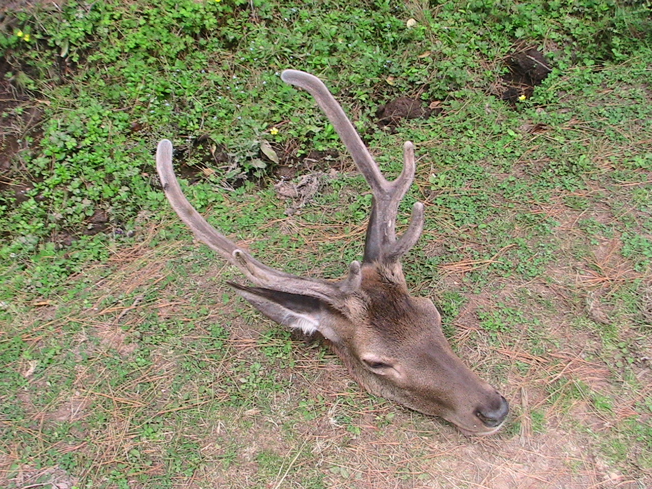 Name:  IMG_0641.JPG
Views: 539
Size:  736.5 KB