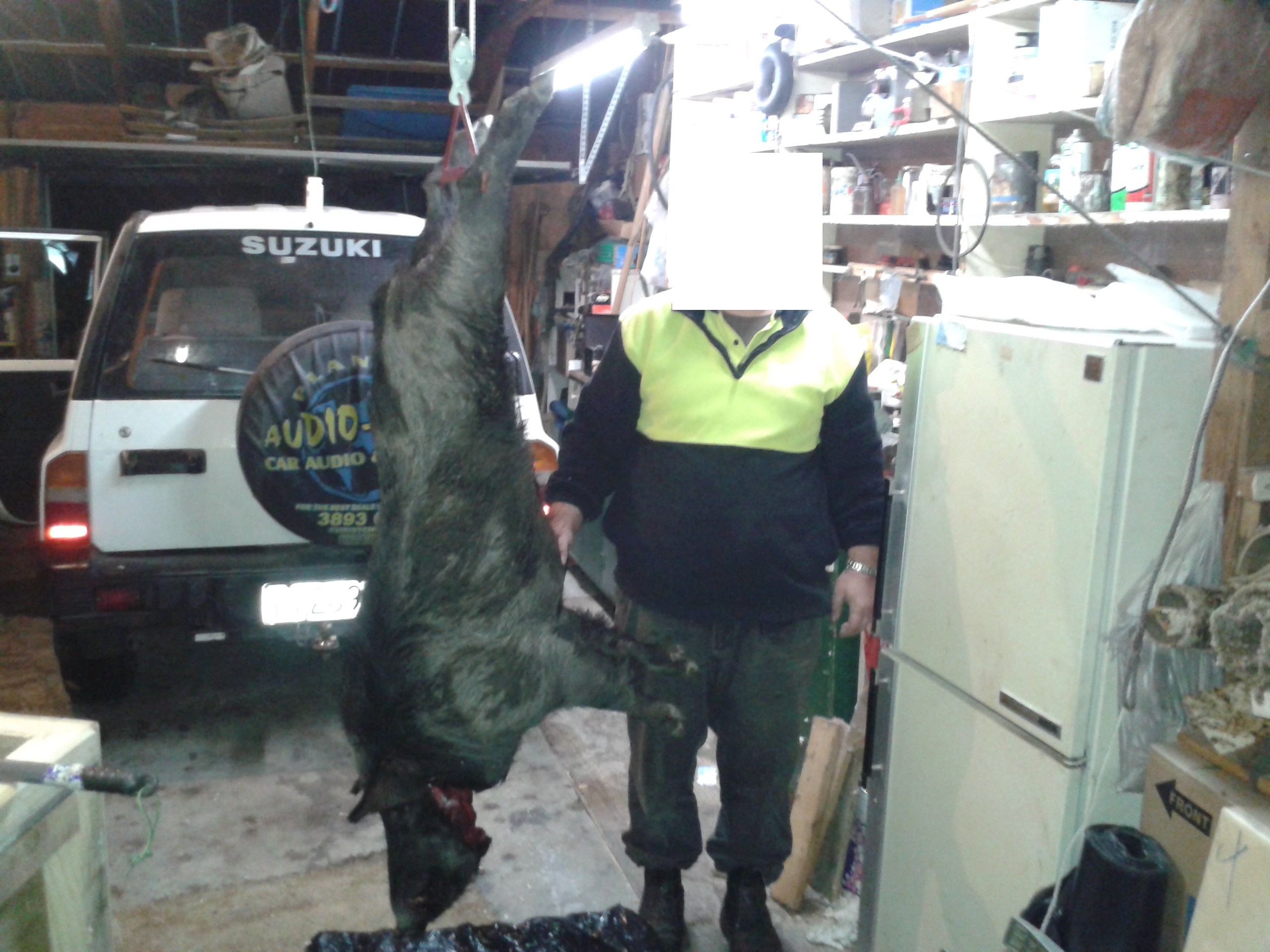 Name:  Boar.jpg
Views: 917
Size:  879.8 KB