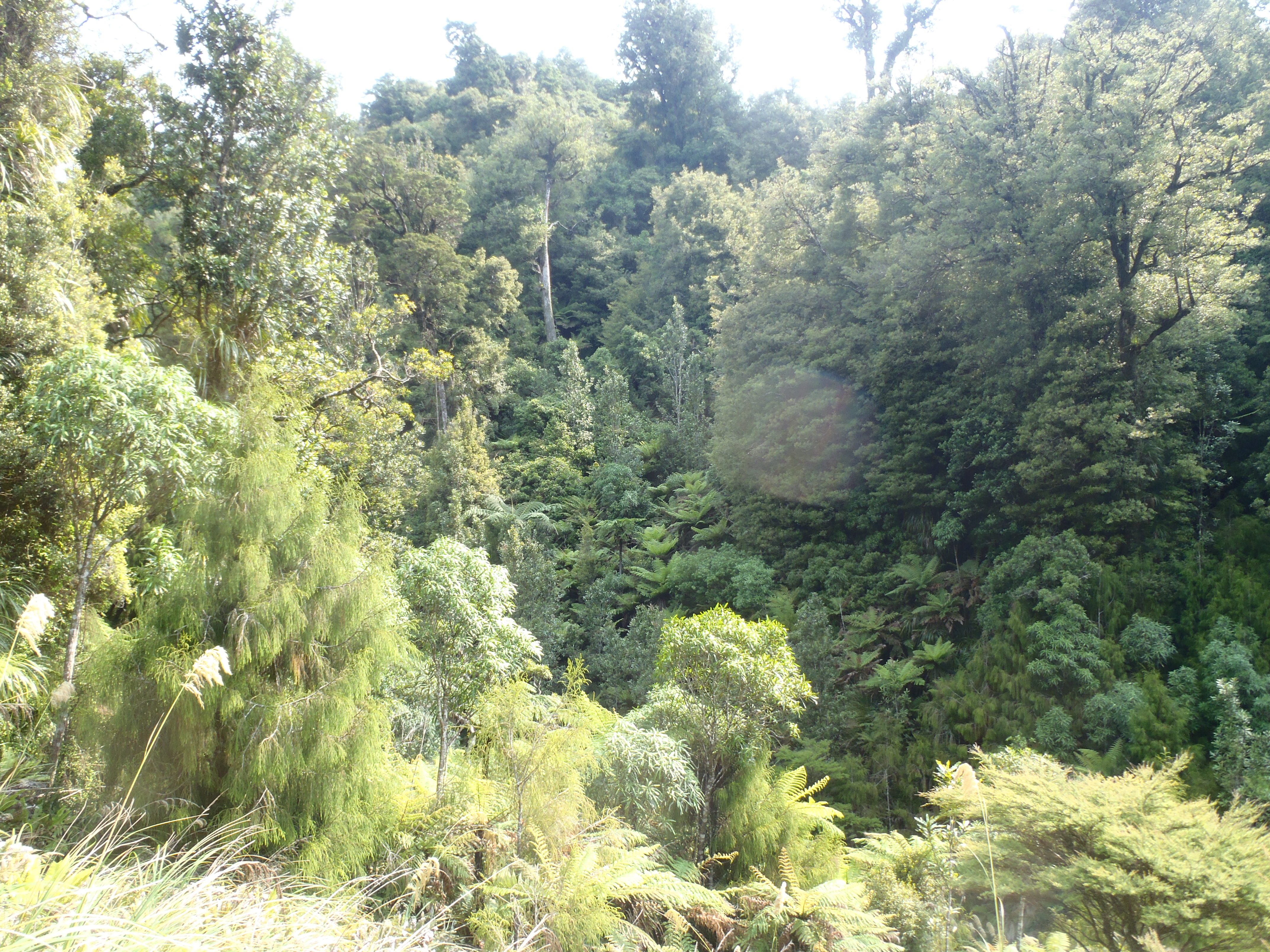 Name:  008.JPG
Views: 860
Size:  3.15 MB