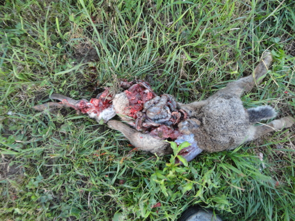 Name:  Result2.JPG
Views: 660
Size:  413.9 KB