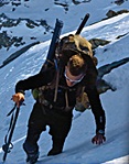 Name:  alpine_hunter.jpg
Views: 631
Size:  34.9 KB