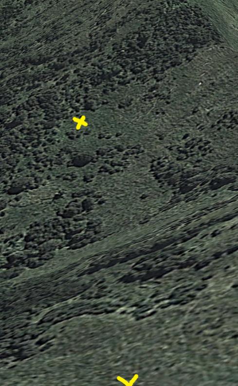 Name:  The long shot.jpg
Views: 487
Size:  77.5 KB