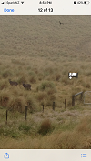 Name:  Tahr past the gate.PNG
Views: 367
Size:  34.8 KB