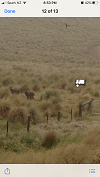 Name:  Tahr past the gate.PNG
Views: 395
Size:  34.8 KB
