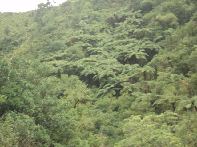 Name:  picture 01 364.jpg
Views: 297
Size:  163.2 KB