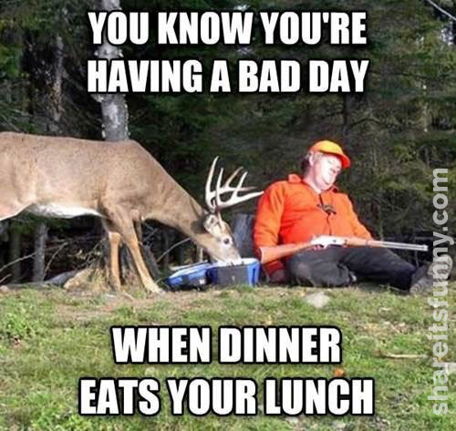 Name:  when-dinner-eats-your-lunch.jpg
Views: 852
Size:  62.9 KB