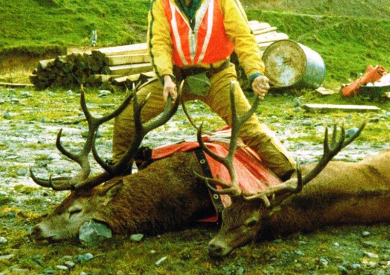 Name:  rs stag1.jpg
Views: 1215
Size:  167.3 KB