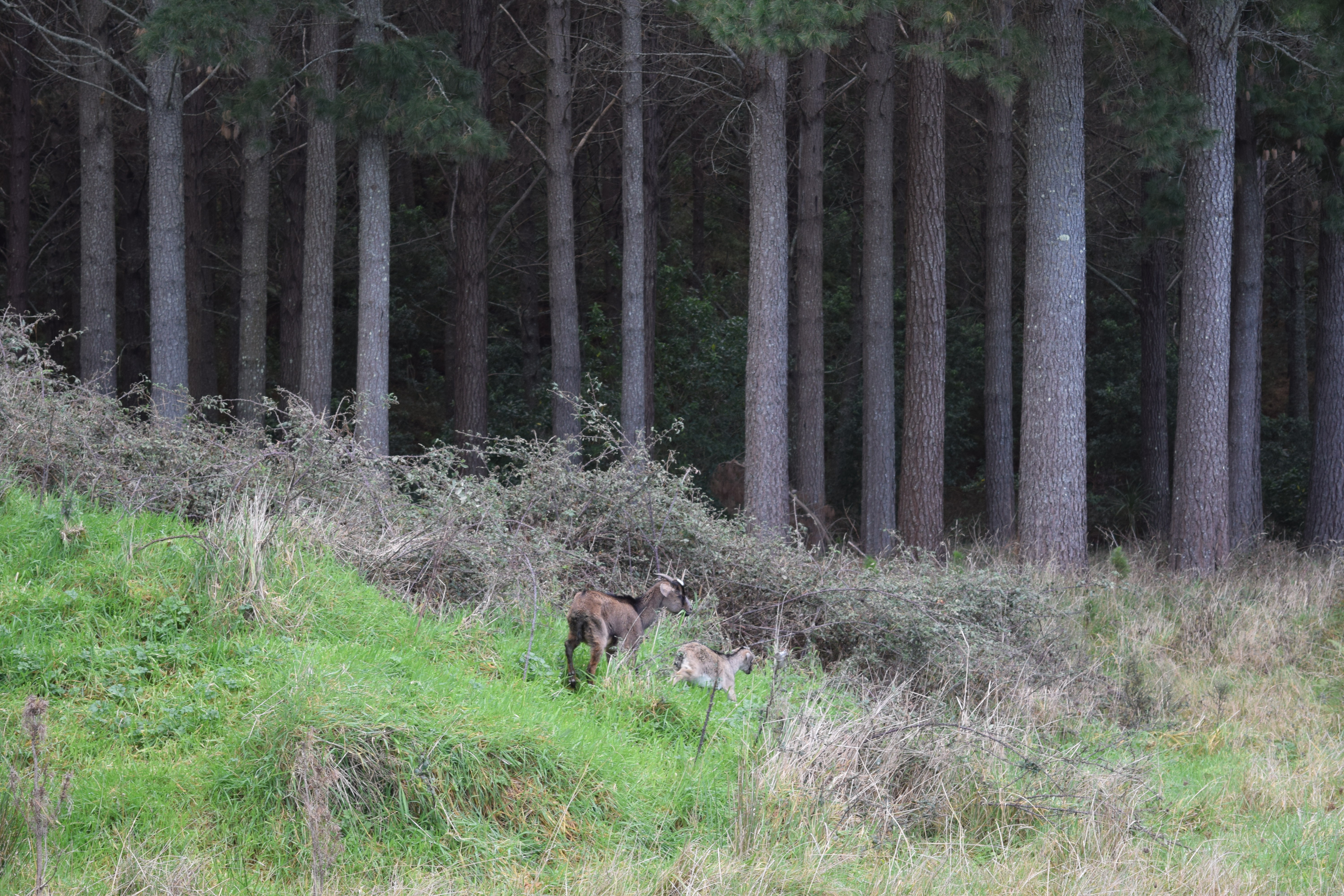Name:  DSC_0002.JPG
Views: 613
Size:  6.08 MB