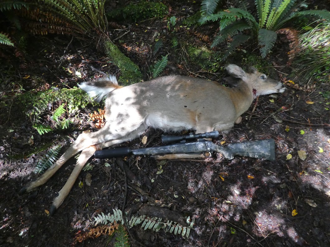 Name:  Whitetail.JPG
Views: 448
Size:  289.7 KB