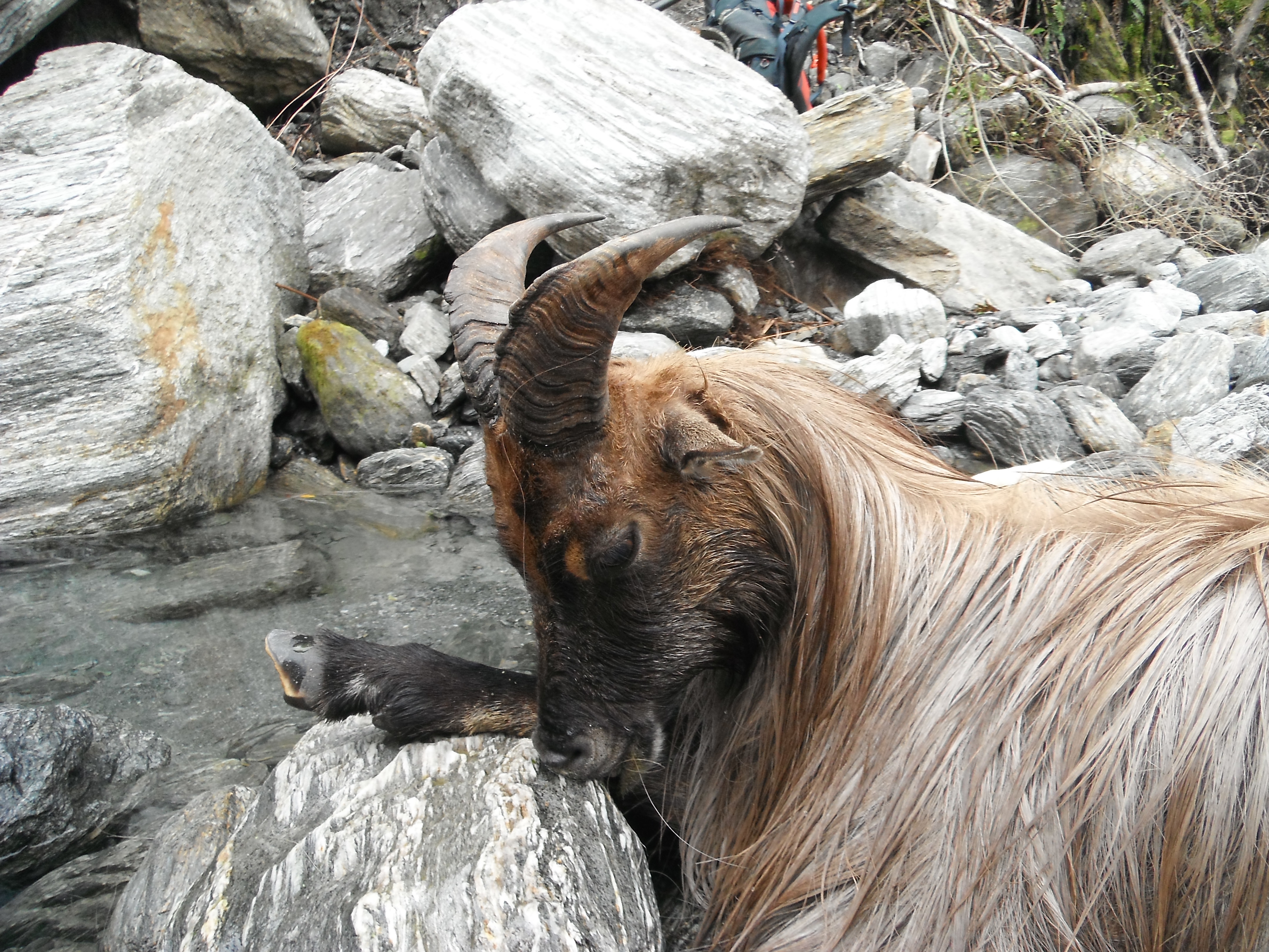 Name:  DSCF0413.JPG
Views: 508
Size:  3.17 MB