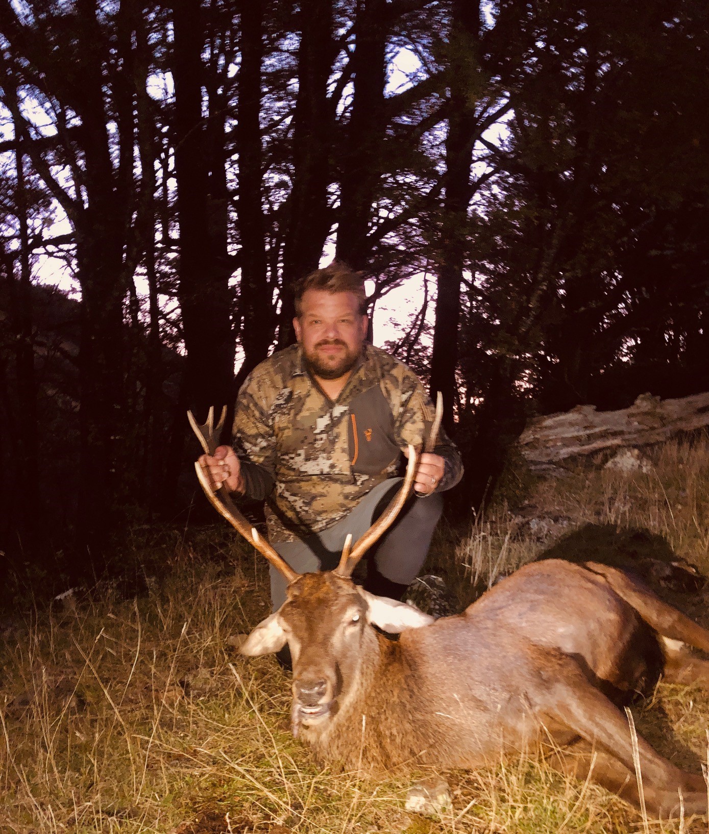 Name:  stag.jpg
Views: 1020
Size:  730.7 KB