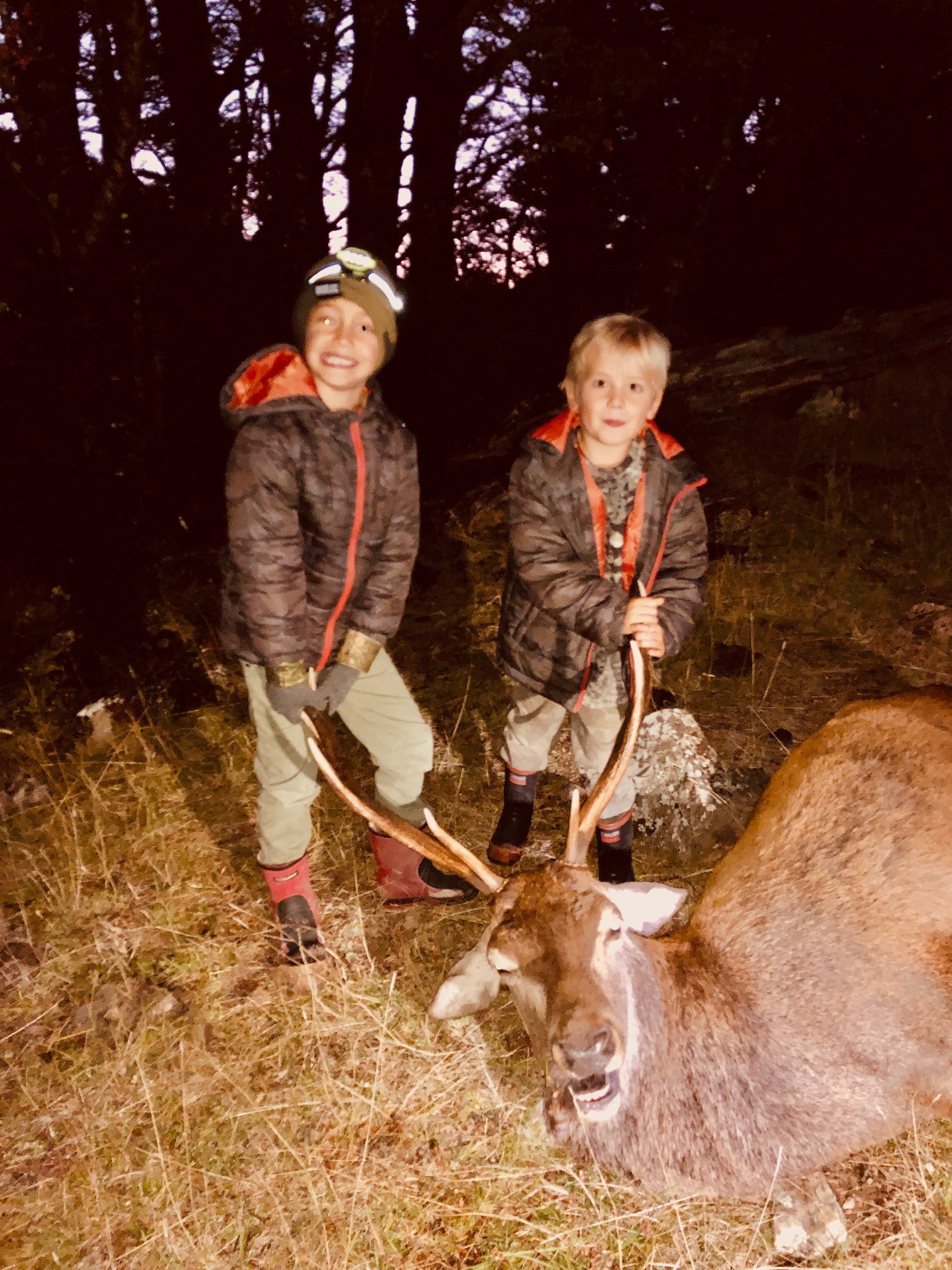 Name:  stag2.jpg
Views: 1006
Size:  885.2 KB