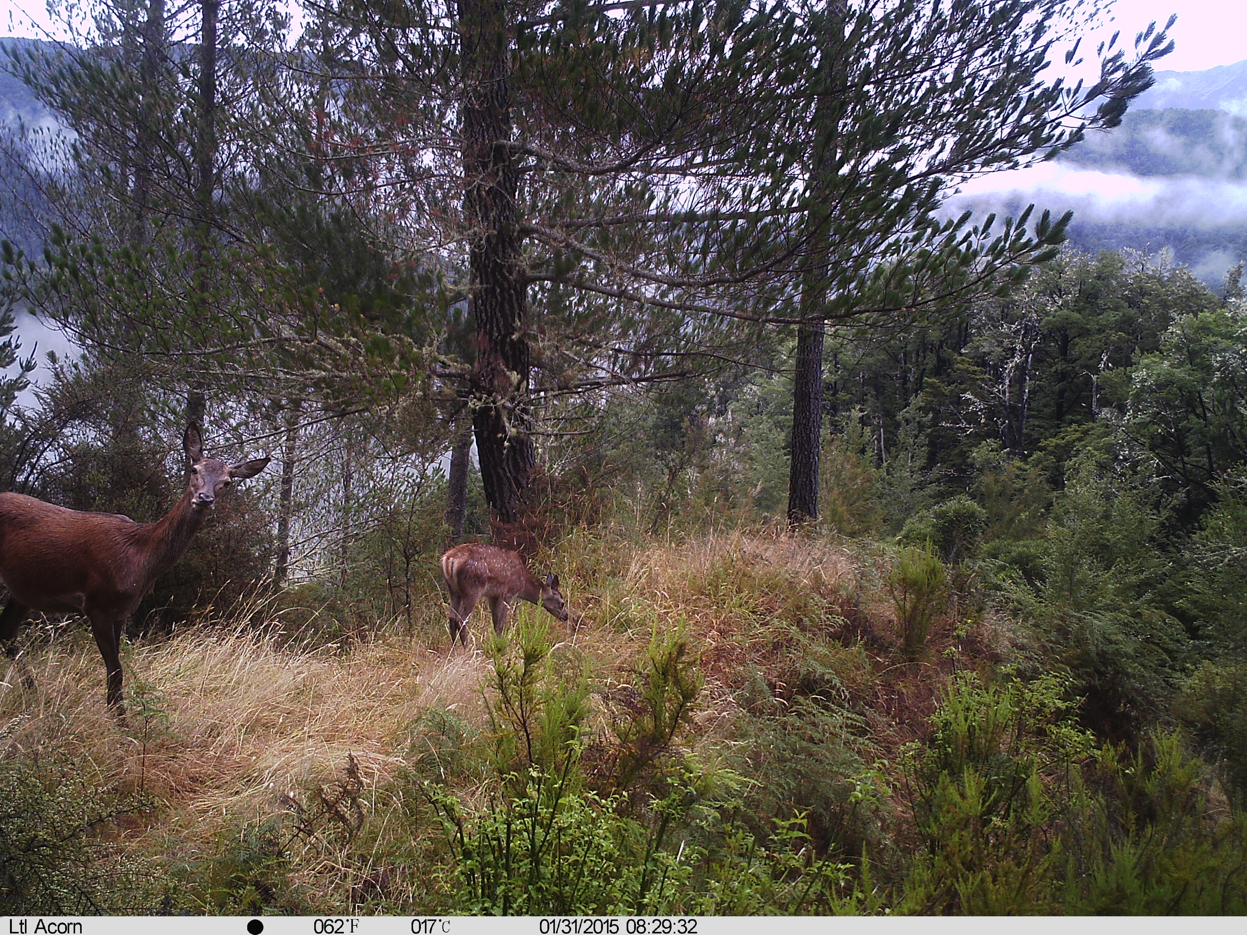 Name:  IMAG0011.JPG
Views: 562
Size:  3.05 MB