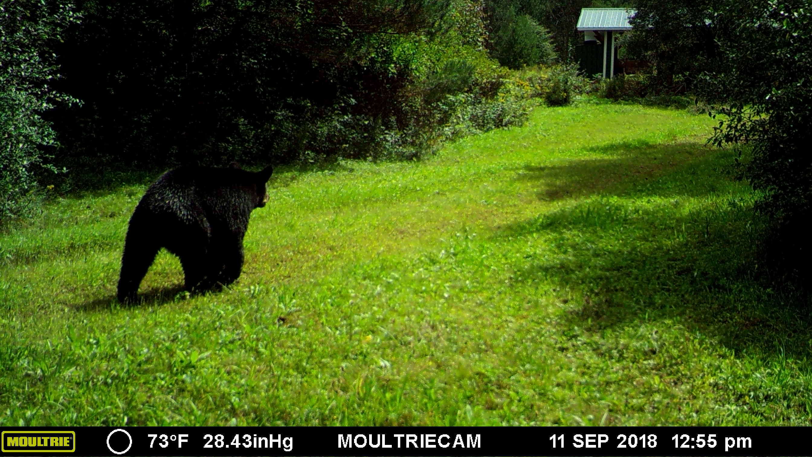 Name:  MFDC7237.JPG
Views: 465
Size:  415.3 KB