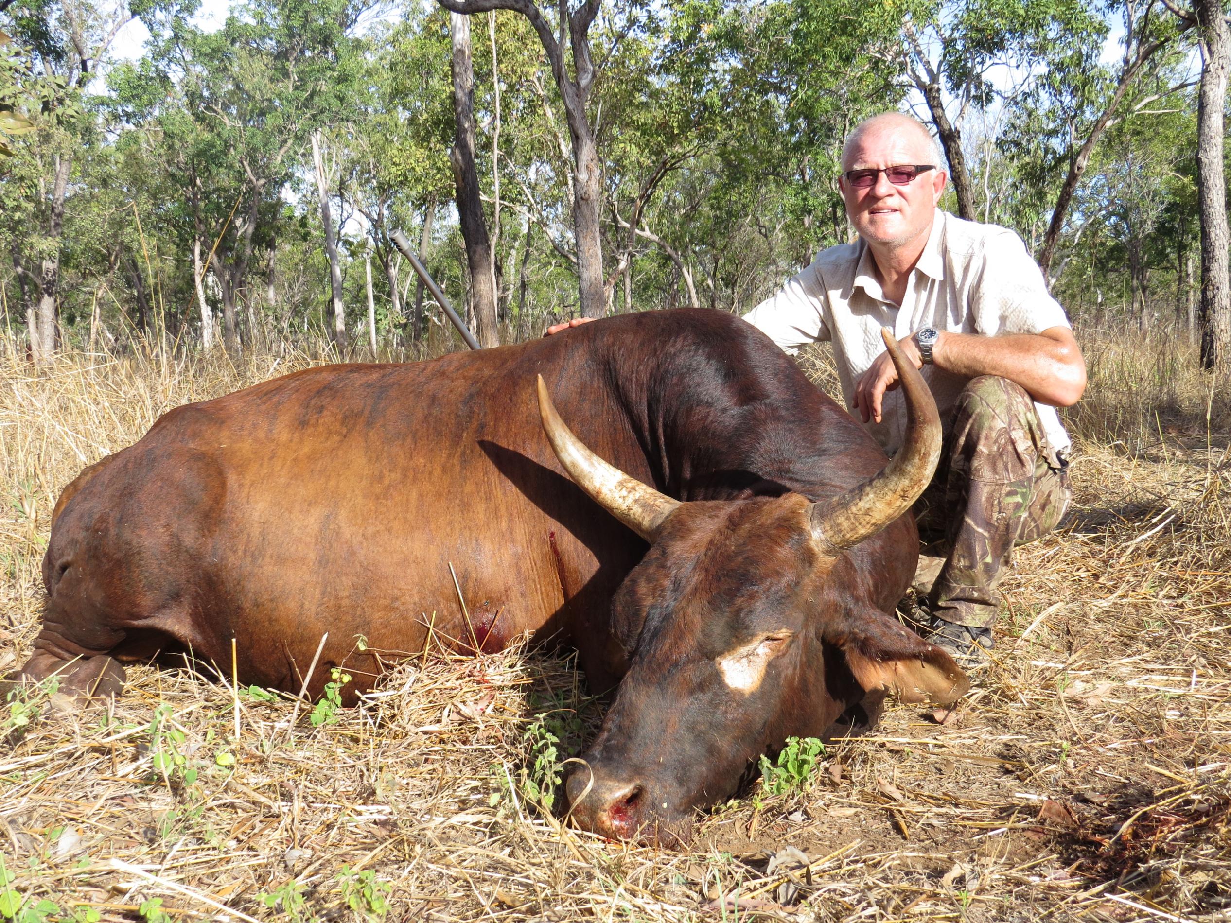 Name:  Scrub Bull.jpg
Views: 3793
Size:  1.17 MB