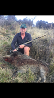Name:  Big Boar 9 June.PNG
Views: 548
Size:  76.1 KB