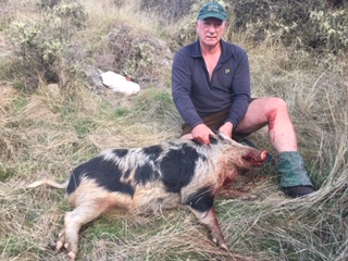 Name:  Smallboar 9 June 20.JPG
Views: 553
Size:  53.3 KB