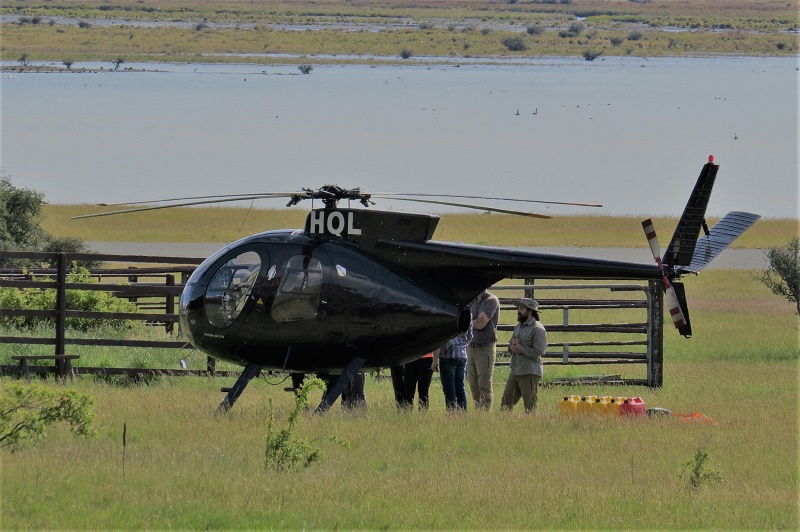 Name:  DOC heli briefing - Copy.jpg
Views: 621
Size:  197.6 KB