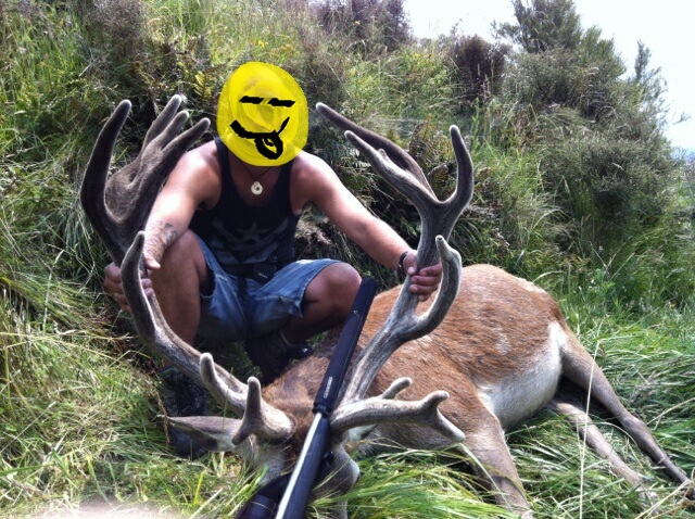 Name:  split tines.jpg
Views: 1622
Size:  185.3 KB
