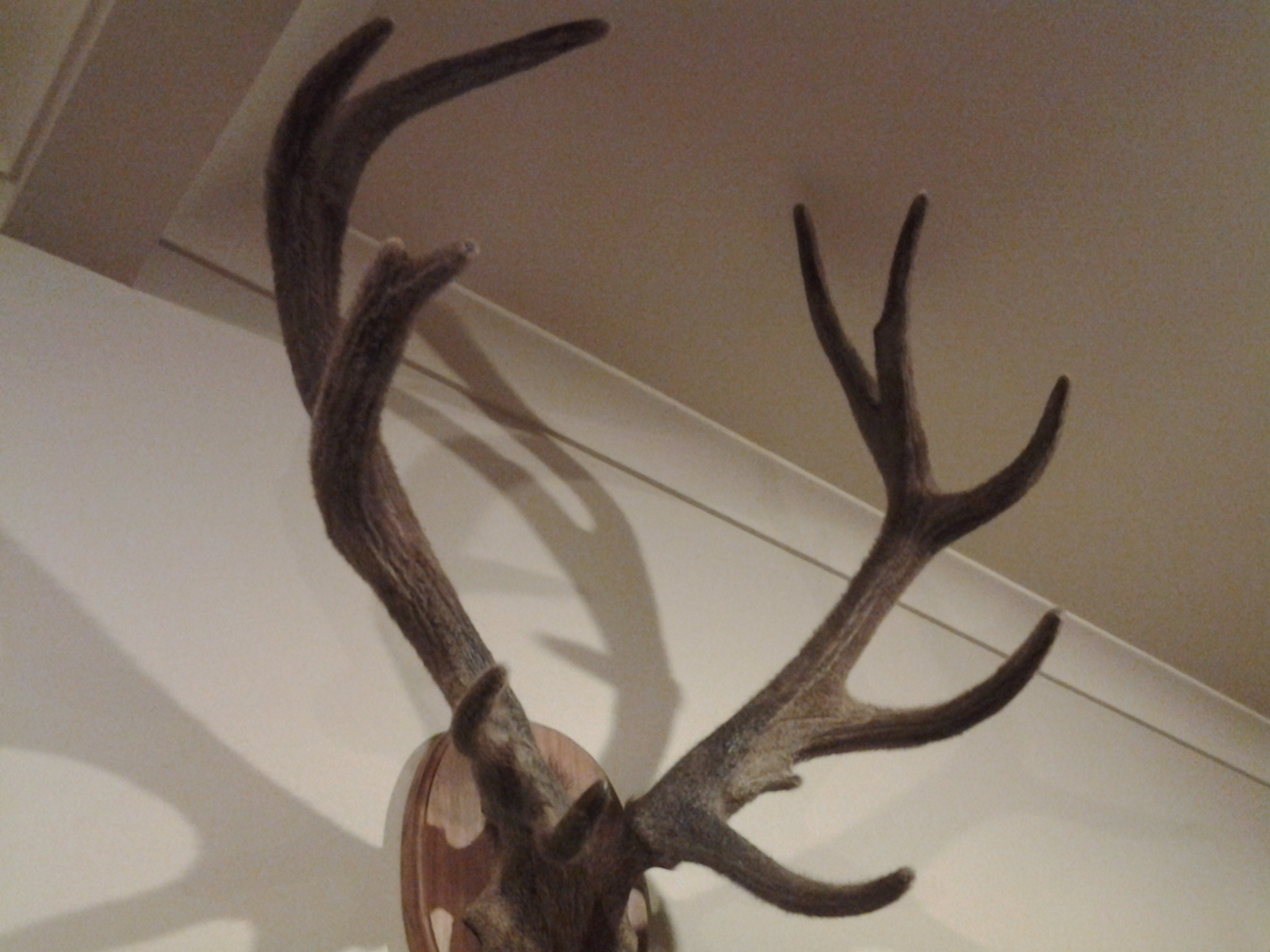 Name:  20131003_212150.jpg
Views: 1098
Size:  702.0 KB