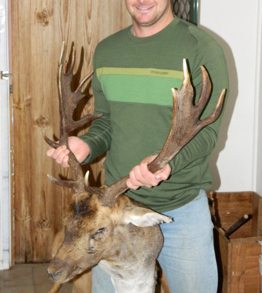 Name:  Lachy's Fallow Buck Easter 2012010.jpg
Views: 419
Size:  86.8 KB